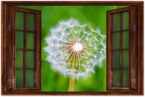 Poszterek 120x80 Pitypang Virág Virágok