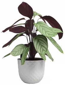 Újrahasznosított műanyag virágcserép ø 20 cm Havana – Artevasi