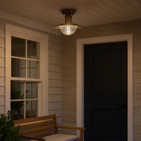 Brilagi - Kültéri mennyezeti lámpa MOLDE 1xE27/60W IP44 bronz/patina