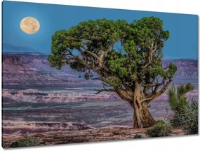 Festmények 120x80 Kilátás Tájkép