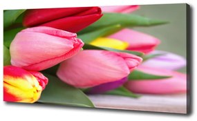 Egyedi vászonkép Színes tulipán oc-98761222
