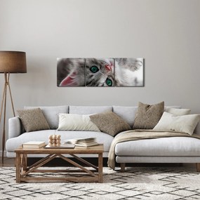 Kép - Macska zöld szemekkel (órával) (90x30 cm)