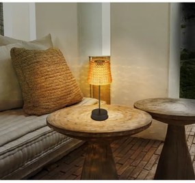 Globo 36634-2A - 2x LED napelemes lámpa SOLAR LED/0,06W/3V IP44 narancs