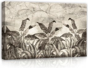 Vászonkép 60x40 Trópusi levelek dzsungel monokróm szürke textúra