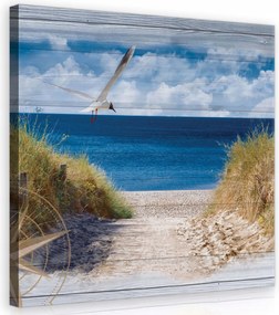 Vászonkép 80x80 Tengeri utazás A nyugalom és a nyári kaland horizontja