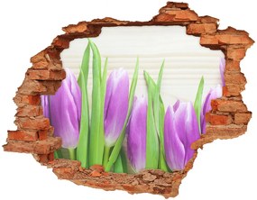 Fali matrica lyuk a falban Lila tulipánok nd-c-78755149