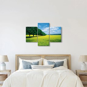 A mező képe egy sikátorral (90x60 cm)