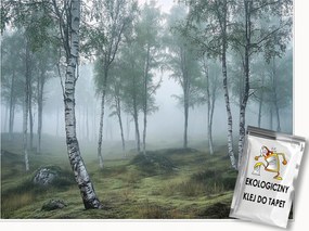 Fotótapéta Nyírerdő 3D Természet Köd Falra Hálószoba Nappali 250x175