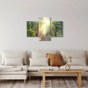 Egy ösvény képe az erdőben (90x60 cm)