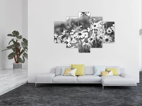 Kép - Százszorszépek (150x105 cm)