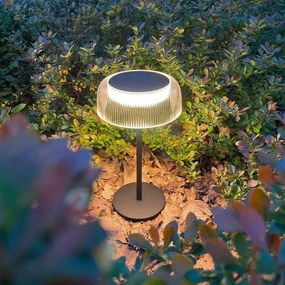 Zuma Line DT33111-LED solar lámpa BLUET LED/2,5W/2000mAh IP44 fekete