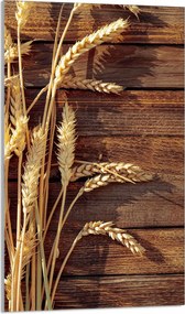 Üveg Vágódeszka 30x52 Búza a Konyhába