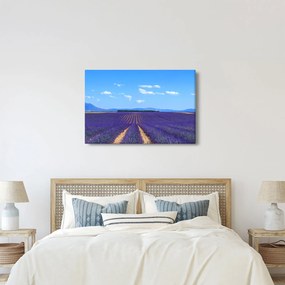 Kép - Levendula mező (90x60 cm)