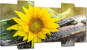 Képek 120x65 Napraforgó a bőröndön