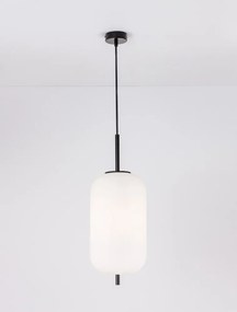 NOVA LUCE 9624072 LATO Egyágú Függesztett Lámpa Üveg E27 IP20