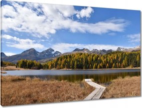 Vászonkép 90x60 Tájkép Fa híd