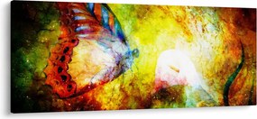 Kép - Kozmikus pillangó (120x50 cm)