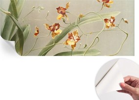 Divatos öntapadós fali tapéta Orchidea klasszikus 250x104 cm