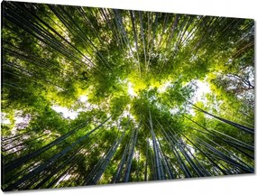Vászonkép 120x80 Bambusz trópusi erdő