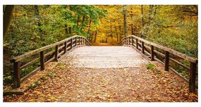 Akril üveg kép Híd az őszi erdőben oah-55256739