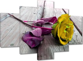 Festmények 150x105 Freeky rose