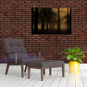 Kép - Sötét erdő (90x60 cm)