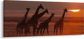 Kép - Zsiráfok az afrikai szavannán (120x50 cm)