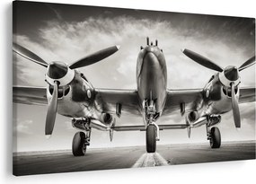Kép - Warbird (90x60 cm)