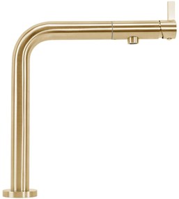 Konyhai csaptelep REA COLE Brush Gold