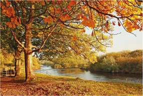 Dekoratív Fotótapéta Hálószobába Őszi tengerpart 104x70