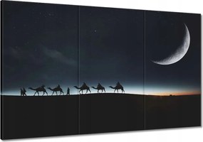 Festmények 120x80 A karaván éjszaka tolózár