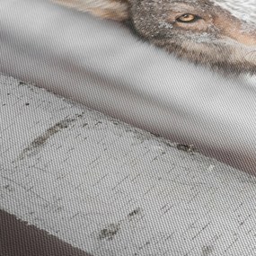 Kép - Farkas (150x105 cm)