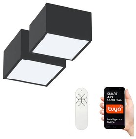Immax Neo 07074L-15BD-Készlet 2x LED Dimmelhető lámpa CANTO 2xLED/12W/230V + távirányító