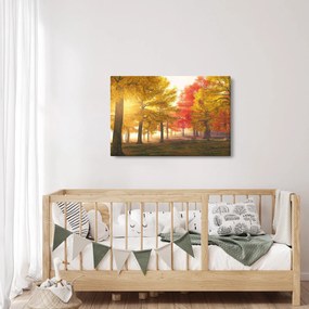 Őszi fák képe (90x60 cm)