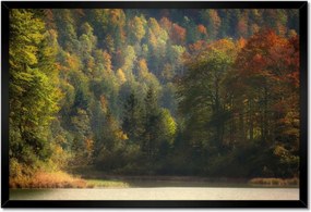 Poszterek keretben 60x40 Erdei táj Kilátás