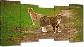 Képek 150x80 Cica Cicák