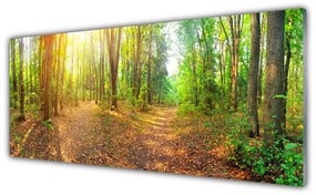 Akrilkép Sun-erdő Természetvédelmi Path 120x60 cm