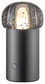 USB hordozható dimmelhető LED kültéri lámpa ø 10 cm Iris – Blomus