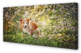 Canvas képek Kutya erdei virágok 125x50 cm