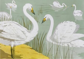 Flizelina Dekoratív Fotótapéta Hálószoba Hattyúk tó 208x146 Ragasztó