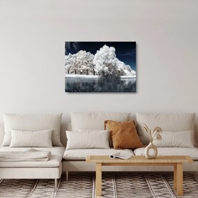 Üveg kép - Hófehér fák (70x50 cm)