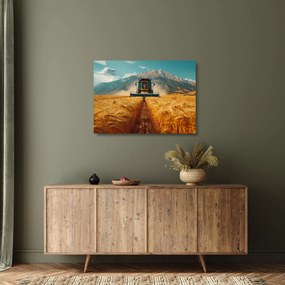 Üveg kép - Zemedelec (70x50 cm)
