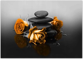 Poszterek 100x70 Narancssárga rózsa Spa