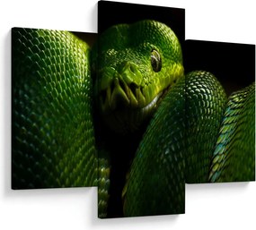 Kép - Zöld kígyó (90x60 cm)