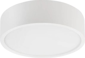 Mennyezeti lámpatest NATURAL 1xE27/15W/230V átm. 27,5 cm fenyő/fehér