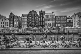 Fotográfia AMSTERDAM Singel With Flower Market, Melanie Viola