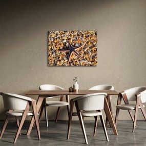 Egy tengeri csillag képe (70x50 cm)