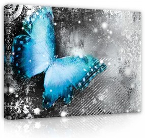 Vászonkép, Pillangó, 60x40 cm méretben