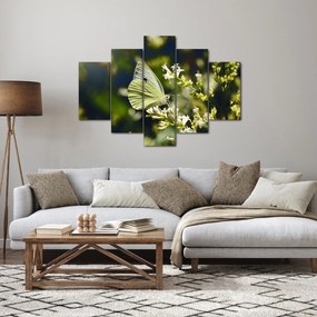 Pillangó képe (150x105 cm)