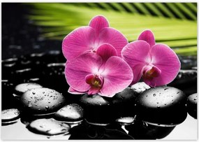 Poszterek 100x70 Spa Kövek és leanderek